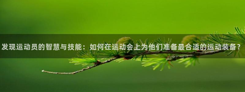 BWIN体育官网下载平台注册:发现运动员的智慧与技能:如何在