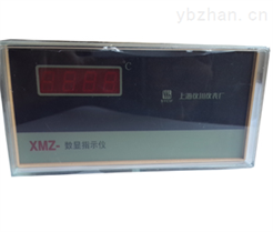 智能数字显示器   XMZA-2002