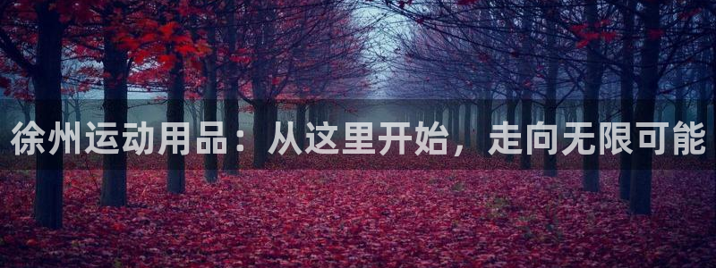 BWIN体育官方正版app娱乐首页官网下载:徐州运动用品:从