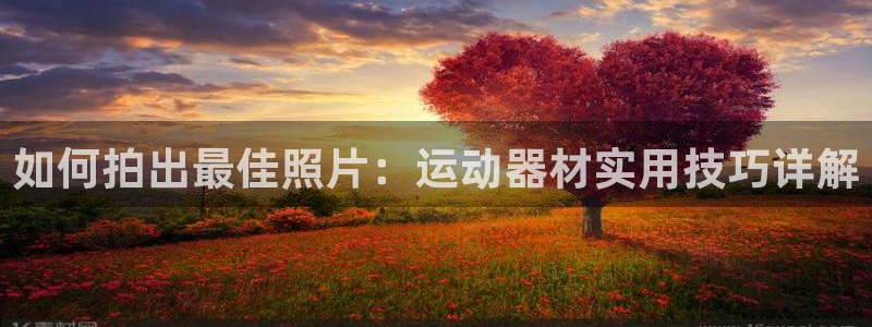 BWIN体育官网下载平台是正规平台吗:如何拍出最佳照片:运动