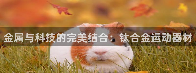 BWIN体育官网下载平台注册流程图:金属与科技的完美结合:钛